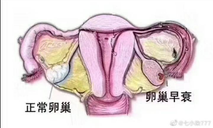 供卵自怀到底好不好-供卵自怀：值得吗？