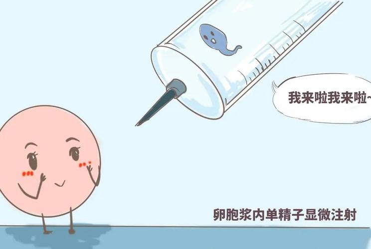供卵代生男孩费用_供卵代生男孩费用：一窥代孕市场的真实成本