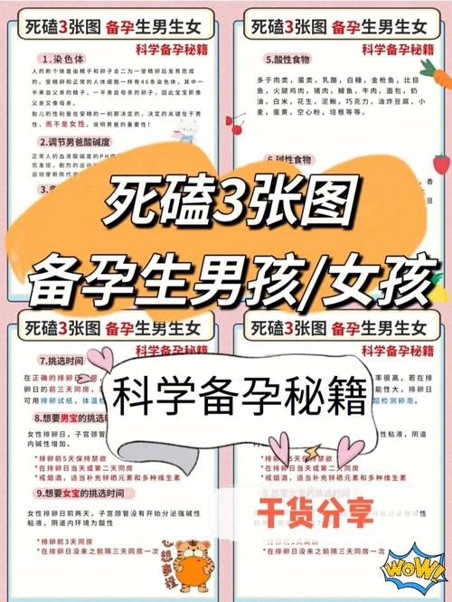 包生男孩正规机构-包生男孩正规机构:培养未来之星