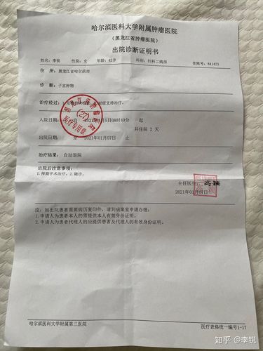 国内借卵试管代怀合同(国内借卵试管代怀合同解析及风险防范)