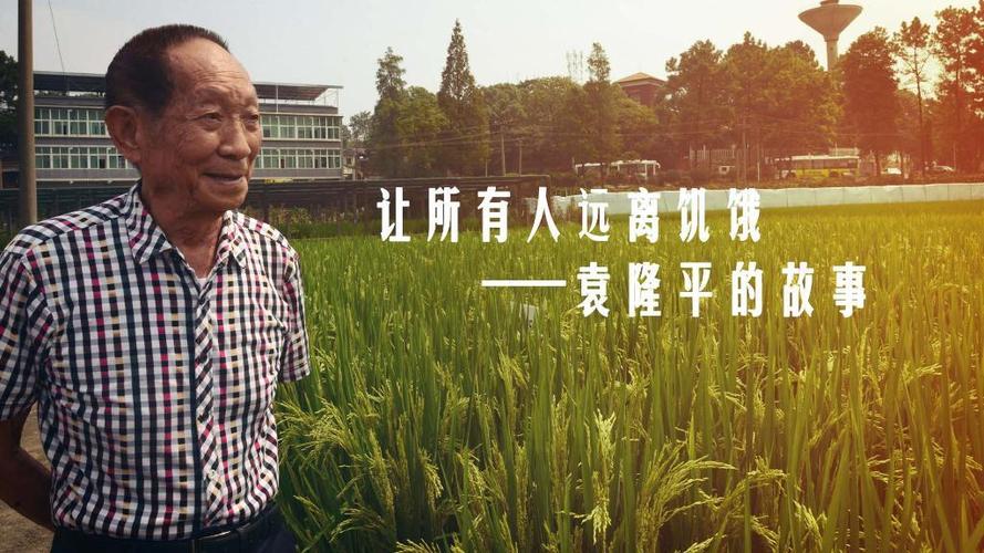 国内借卵试管代怀可靠吗(国内借卵试管代怀可靠吗?解读国内代怀孕的安全性)