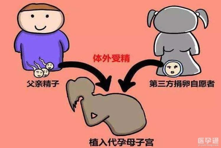 供卵有什么要求-供卵者有哪些要求需要满足
