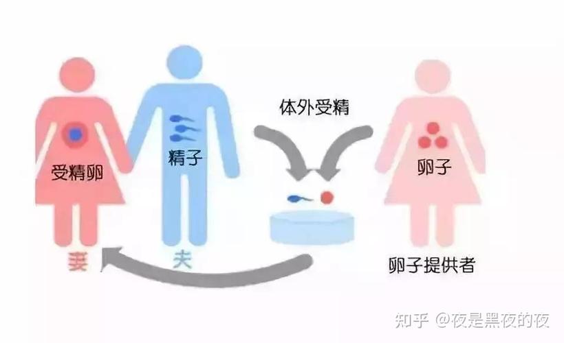 供卵生子的后悔了吗【供卵生子:后悔了吗?】