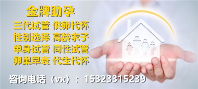 供卵试管包生男孩机构【供卵试管包生男孩机构：科学助孕，实现男丁繁衍】